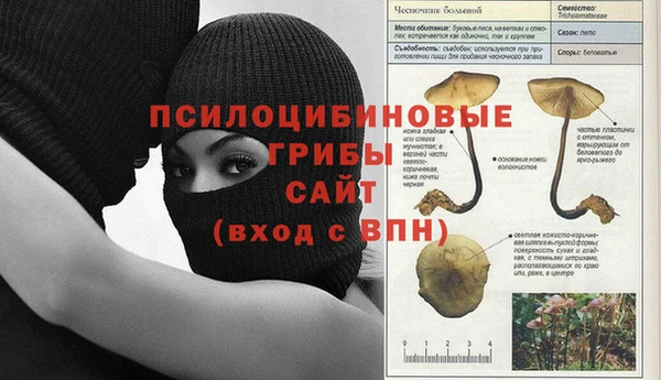 PSILOCYBIN Семёнов
