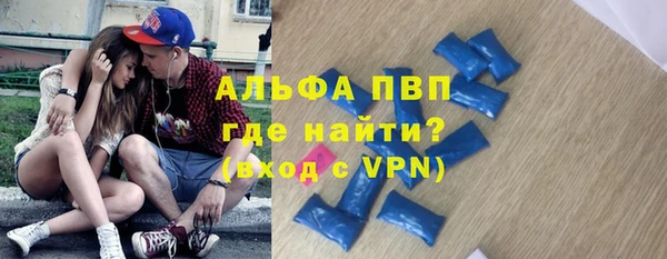 PSILOCYBIN Семёнов