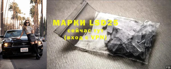 PSILOCYBIN Семёнов