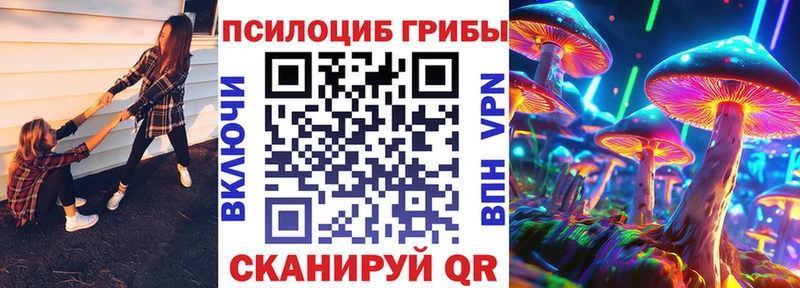 Псилоцибиновые грибы прущие грибы  Купить закладки  Красногорск 